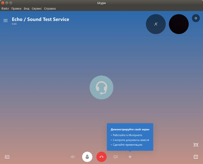 Тестовый звонок Skype в Ubuntu